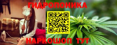 ECSTASY Свободный